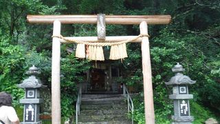 猿田彦命に会えました