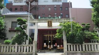 予備知識なく初めて訪ねたため何も分からず残念でした