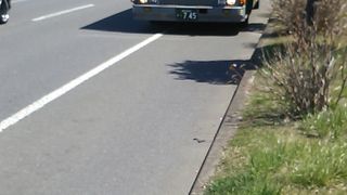 みたら・水族館前から室蘭駅前まで移動する場合、結構混む可能性があります