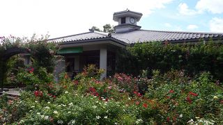 アートとクラフトマンシップを感じる （富士川切り絵の森美術館）