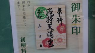 ヒノキの御朱印をいただきました！