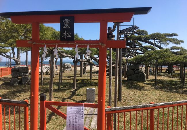 大津の寺 神社 クチコミ人気ランキングtop フォートラベル 滋賀県 大津の寺 神社 クチコミ人気ランキングtop フォートラベル 滋賀県