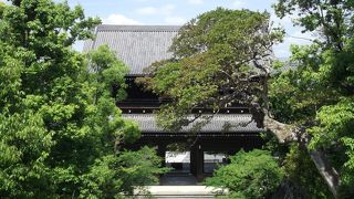 広い境内の浄土宗総本山