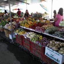 野菜が多いのが目立ちますね