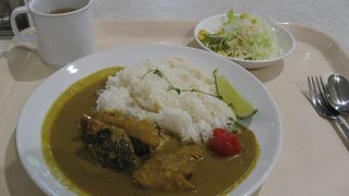 窓の側は緑がいっぱい