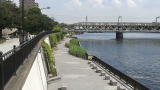 見ているだけでも気持ちがスッキリ