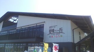 砂丘とは少し離れた高台側に位置する飲食・物販を中心とする施設