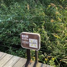 電流が流れている