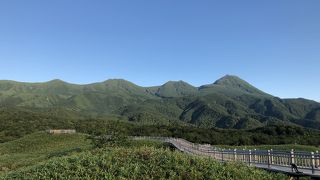 高架木道を歩きます