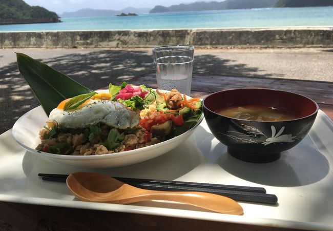 ディゴ並木の下でランチ