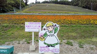リフトがある「町営ラベンダー園」