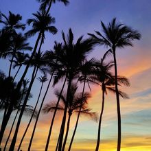 椰子の木のシルエットとすごくきれいな夕焼雲