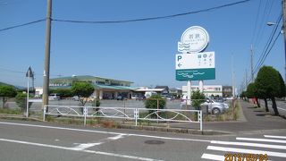 小浜のお魚を集めています