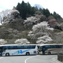 吉野山観光駐車場