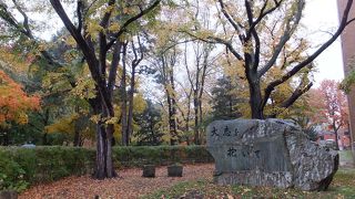 石碑の形が特徴的