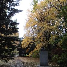 新渡戸稲造博士の顕彰碑