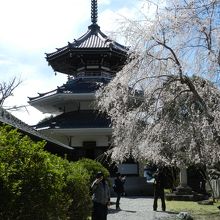 金輪王寺