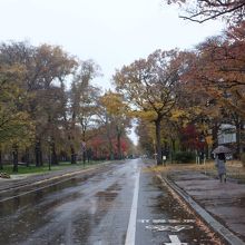 道路。広いです。