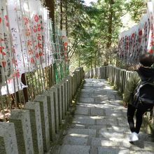脳天神社参道石段