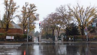 広いです。なので車に注意。飛ばしてきます。