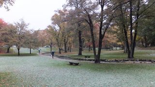 大学を川が流れているなんて。