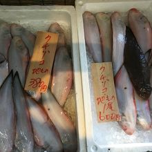 有明海の珍魚「くっぞこ」