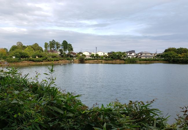 常陸太田 東海村の公園 植物園 クチコミ人気ランキングtop7 フォートラベル 茨城県 常陸太田 東海村の公園 植物園 クチコミ人気ランキングtop7 フォートラベル 茨城県