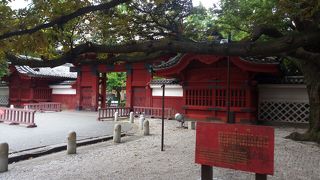 東京大学の象徴