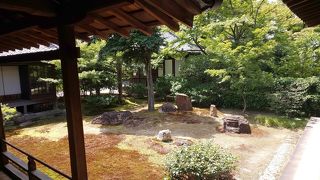 広々した庭と部屋