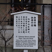 泉岳寺 血染めの梅 血染めの石 