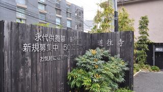 落ち着いた雰囲気のある寺院