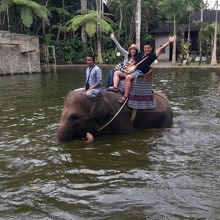 象乗り中の写真も撮ってもらえました