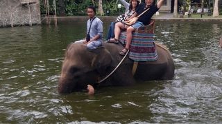 2回目のあけぼのさん