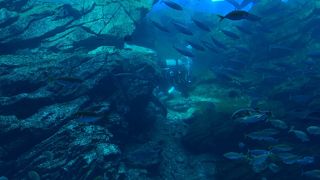 中野栄駅から無料シャトルバス