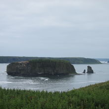 岬からの景色