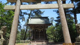 天橋立を守ってくれています