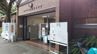 夏季限定のプール2019