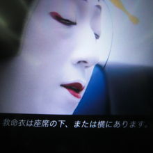 救命衣は座席の下または横にあります