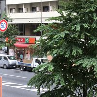 廊下からの 眺望例