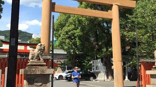 生田神社