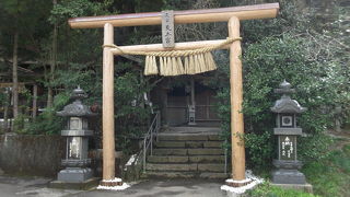 緑に囲まれた中の神社