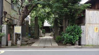 木立が心地よいお寺