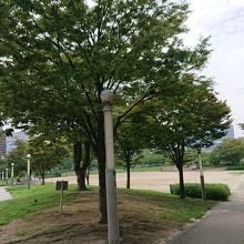 都会の中の自然