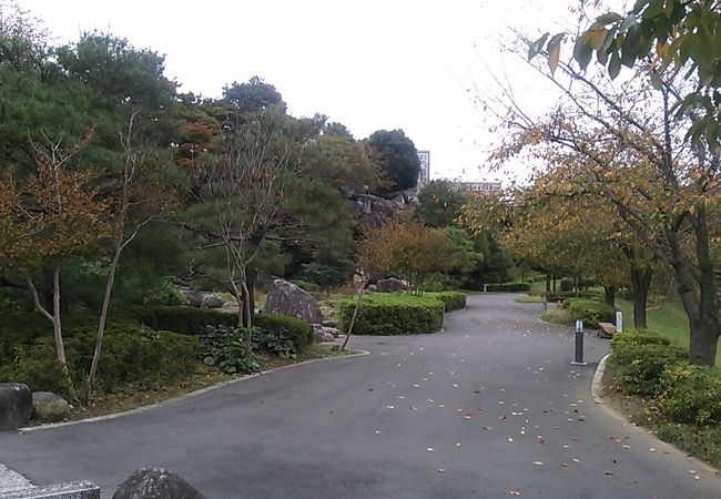 歩きながら行屋川の景色を楽しむことが出来ます