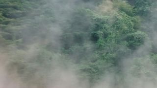 本当に赤いです