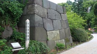 じっくりと見学できます