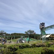 色々な乗り物が楽しめる広い公園