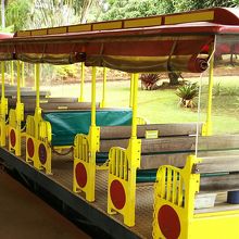 パイナップル畑を走る列車