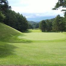 綺麗なコース