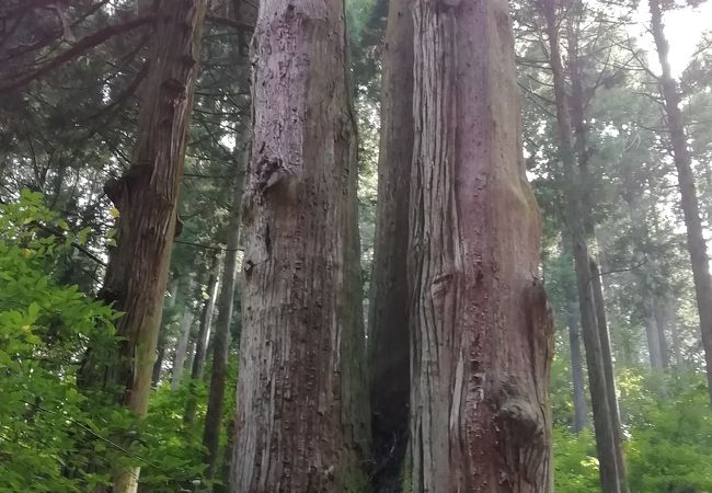 御岩神社 クチコミ アクセス 営業時間 日立 フォートラベル 御岩神社 クチコミ アクセス 営業時間 日立 フォートラベル